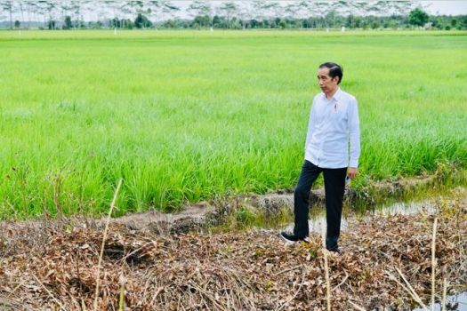 Gambar Jokowi dan Kesejahteraan Rakyat Di Provinsi Kalteng